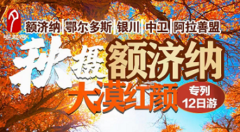 湖北到额济纳旅游专列|秋摄额济纳 打卡胡杨林|12天