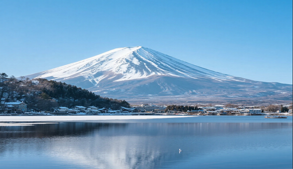 2025武汉老人到日本旅游-富良野薰衣草物语-品质6日游