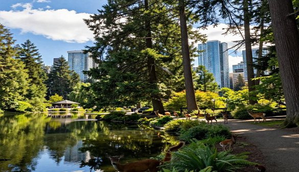 2026武汉到加拿大夕阳红旅游-渥太华河畔的诗意栖居-精华15日游