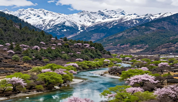 2026湖北老人到西藏旅游-雪域召唤 专列领航-精品12日游